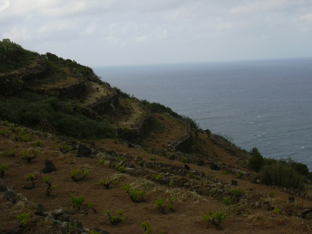 Pantelleria